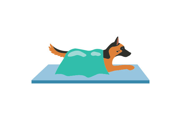 Dog Having a Surgery: A Surprising Design for Specific Niches